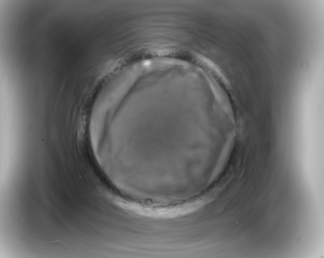 X0000085760018200704091343