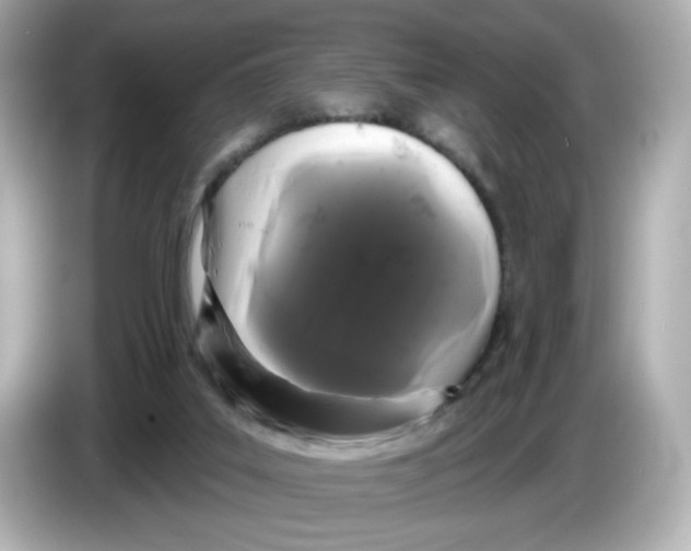 X0000085760019200704091343