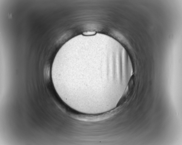 X0000085760021200704091343