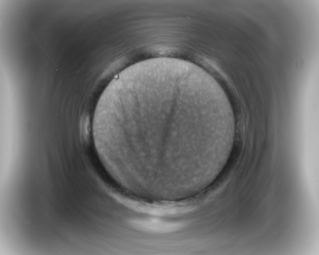 X0000085760024200704091343