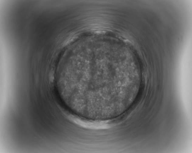 X0000085760032200704091342
