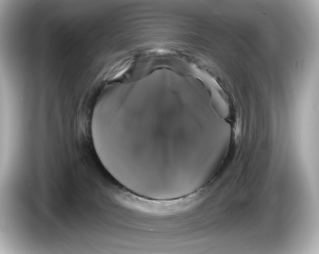 X0000085760035200704091342