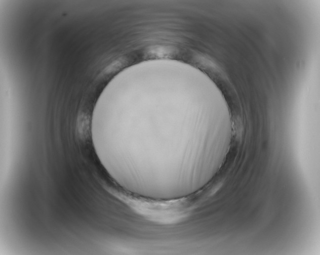 X0000085760036200704091342