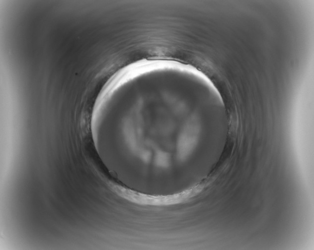X0000085760043200704091342