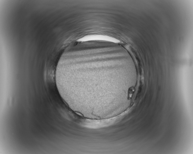 X0000085760045200704091342