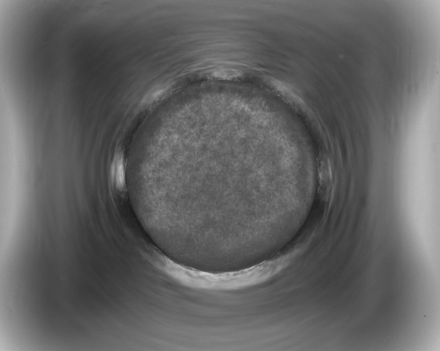 X0000085760046200704091342