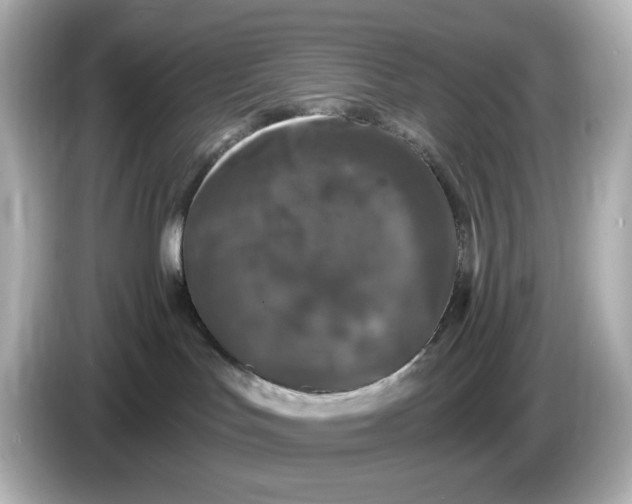 X0000085760047200704091342