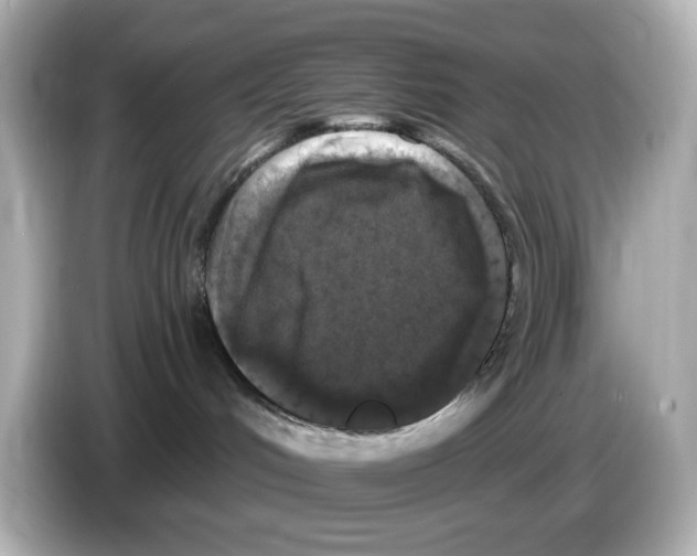 X0000085760048200704091342