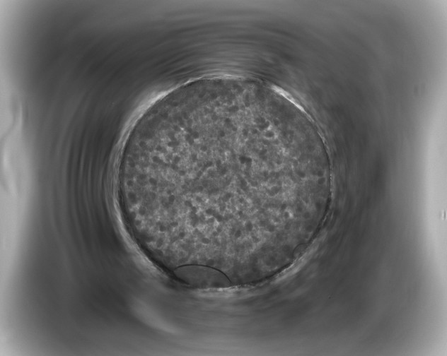 X0000085760049200704091342