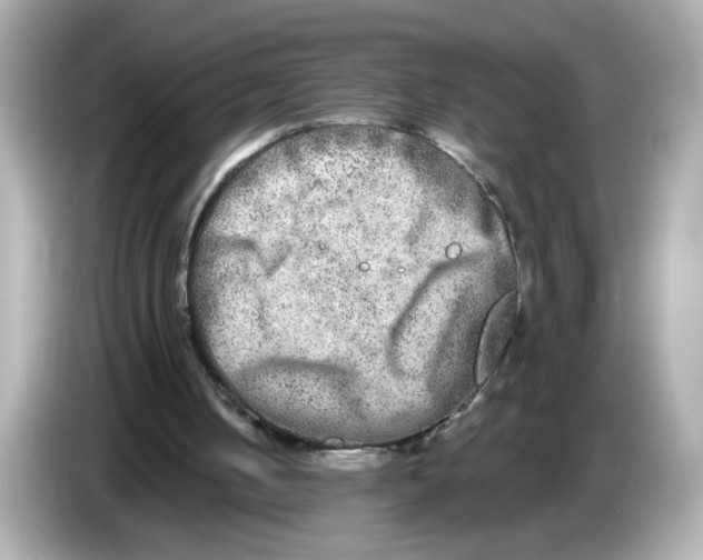 X0000085760050200704091342