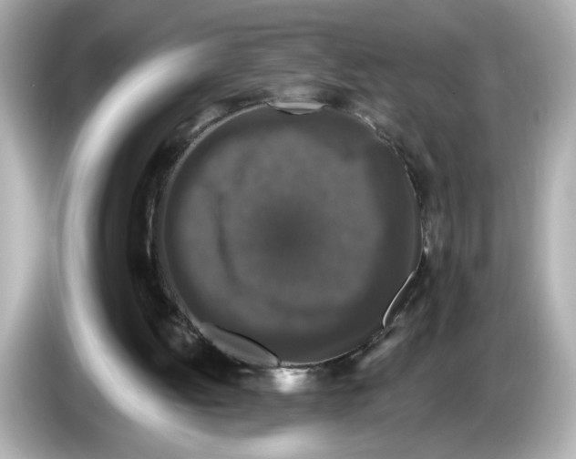 X0000085760052200704091342