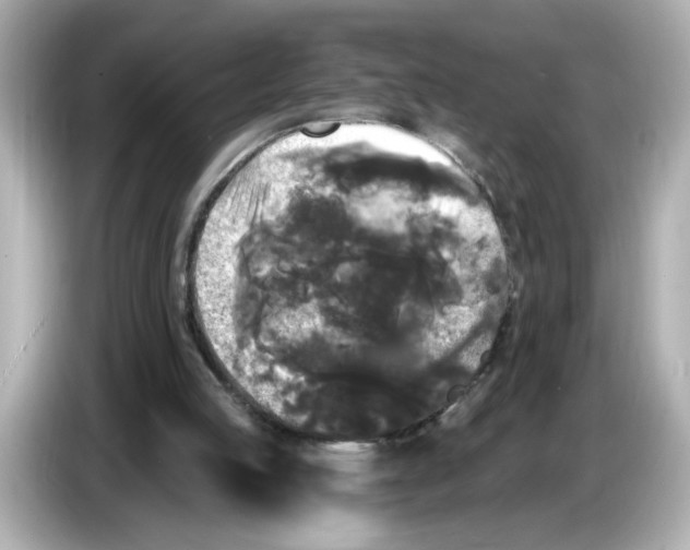 X0000085760053200704091342