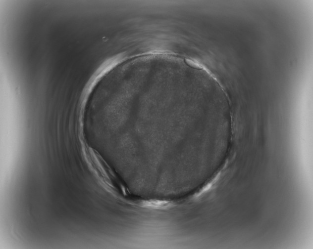X0000085760055200704091342
