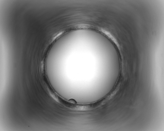 X0000085760057200704091342