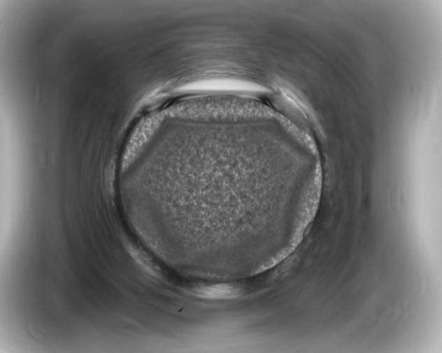 X0000085760058200704091342