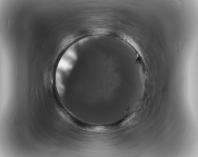 X0000085760059200704091342