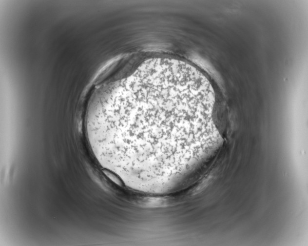 X0000085760060200704091342