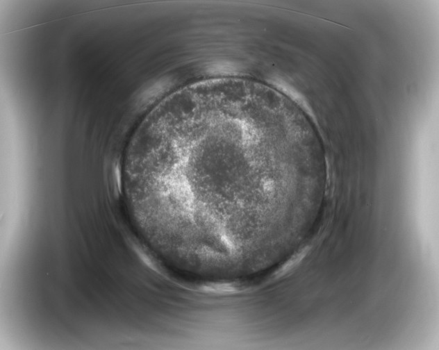 X0000085760061200704091342
