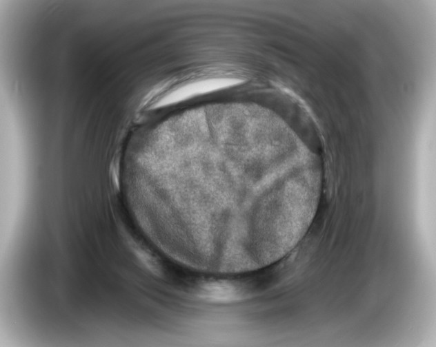 X0000085760062200704091342
