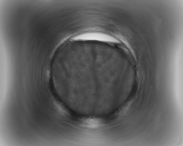 X0000085760063200704091342