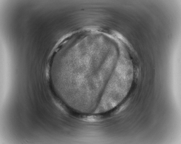 X0000085760064200704091342