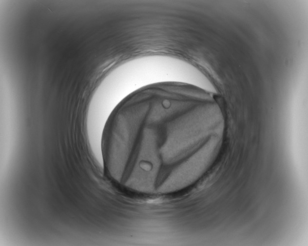 X0000085760068200704091342