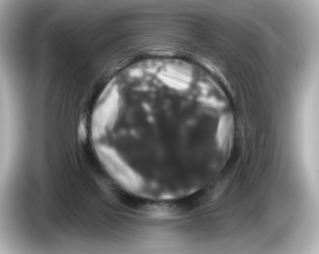 X0000085760069200704091342