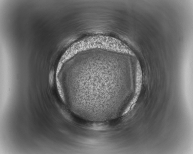 X0000085760070200704091342