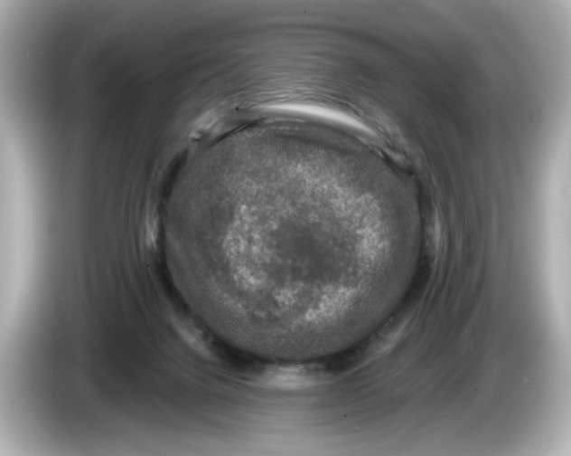 X0000085760072200704091342