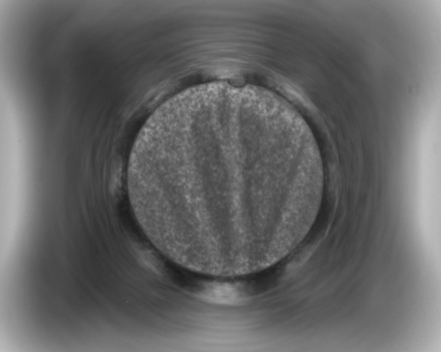 X0000085760073200704091342