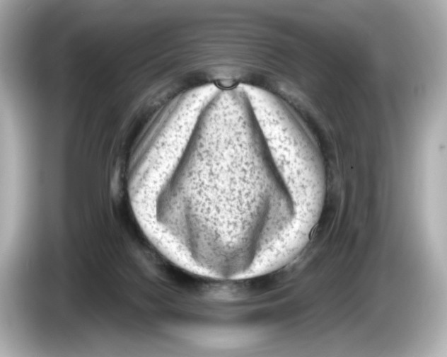 X0000085760074200704091342