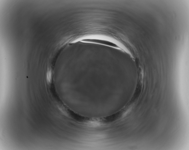 X0000085760076200704091342