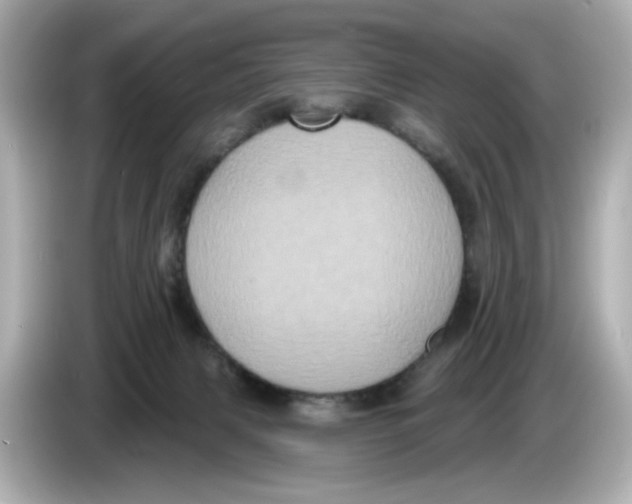 X0000085760079200704091342
