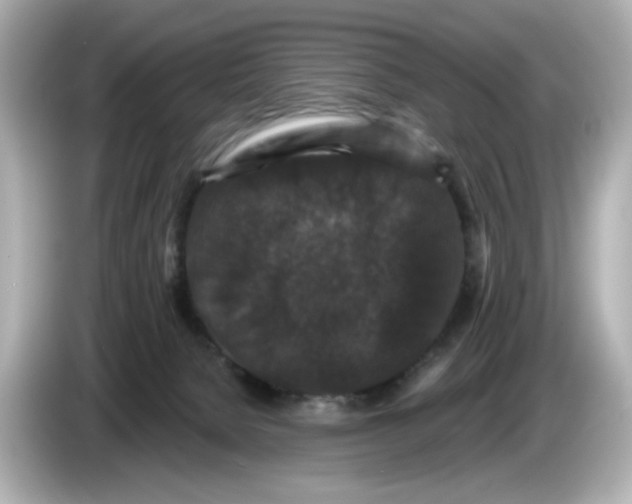 X0000085760080200704091342