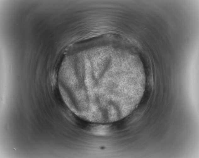 X0000085760081200704091342