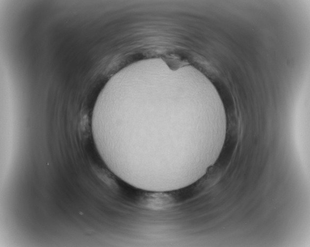 X0000085760087200704091342