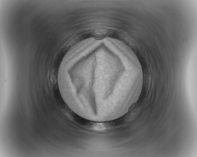 X0000085760091200704091342