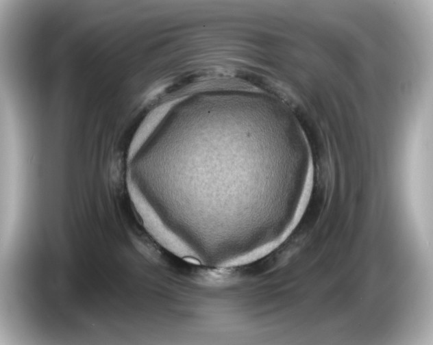 X0000085760092200704091342