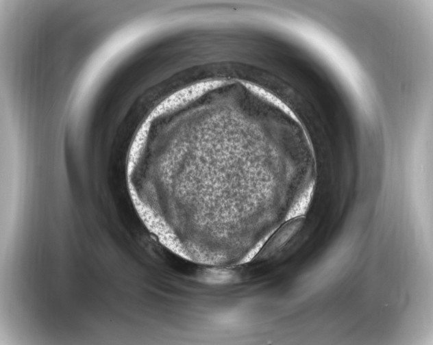 X0000085760095200704091342