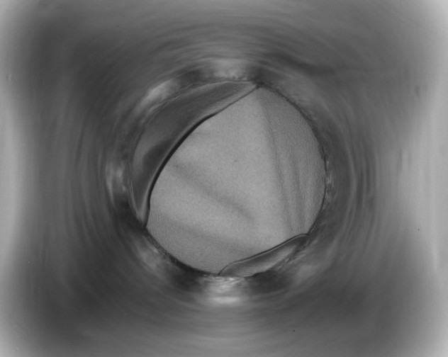 X0000085760096200704091342