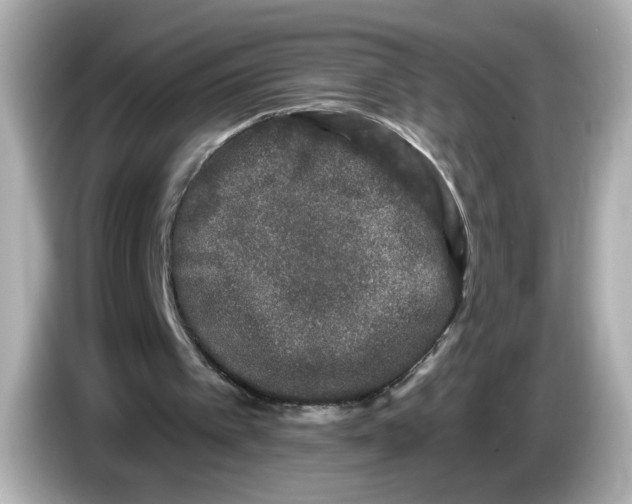 X0000085760097200704091342