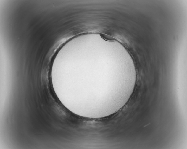 X0000085760098200704091342