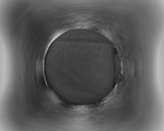 X0000085760100200704091342