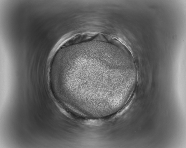 X0000085760101200704091342