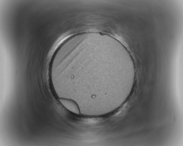X0000085760103200704091342