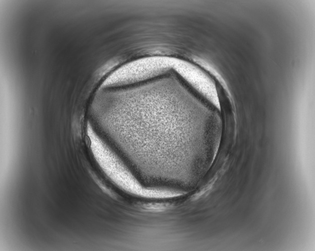 X0000085760105200704091342