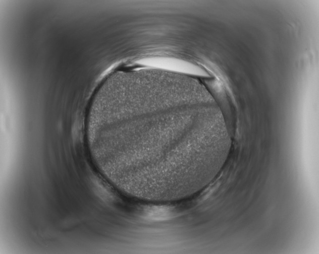 X0000085760107200704091342