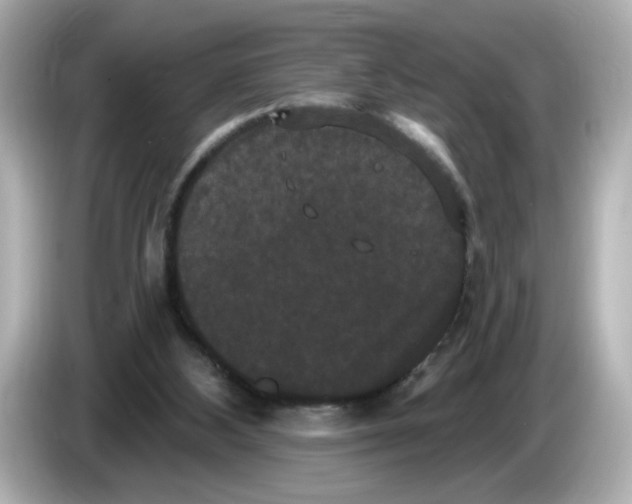X0000085760108200704091342