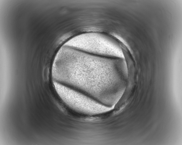 X0000085760109200704091342