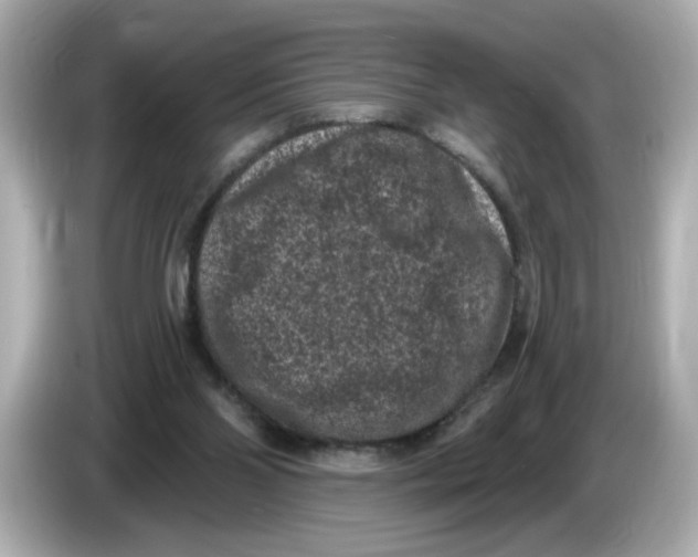 X0000085760110200704091342